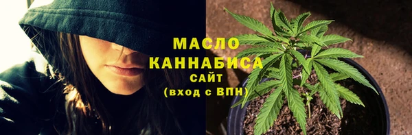 мдпв Киреевск