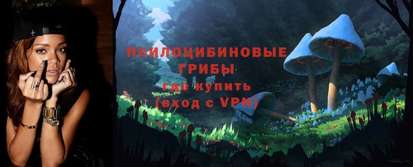 мдпв Киреевск