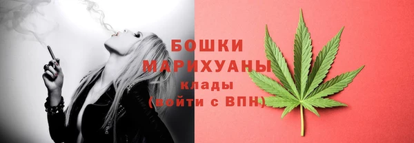 мдпв Киреевск