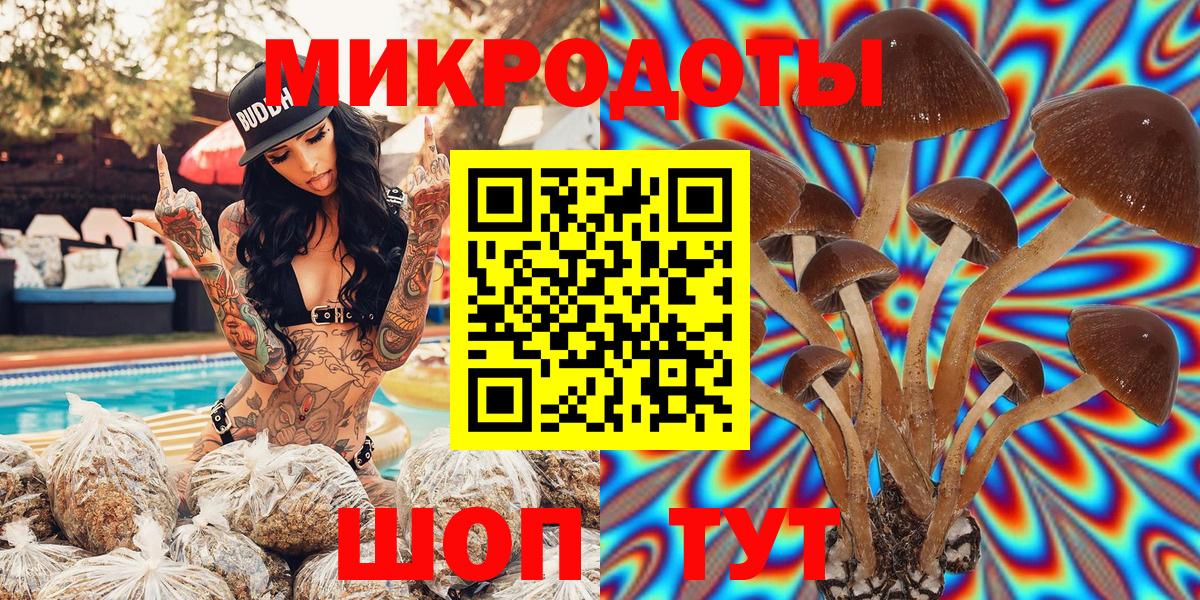 Псилоцибиновые грибы MAGIC MUSHROOMS  Псилоцибиновые грибы мухоморы  Советск  Вход с VPN 