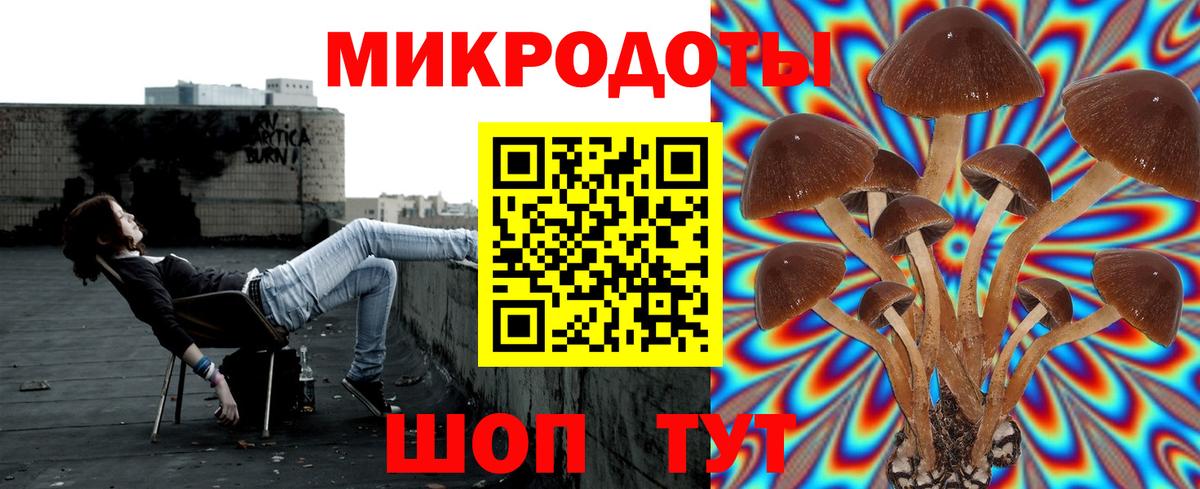 Галлюциногенные грибы Cubensis Советск